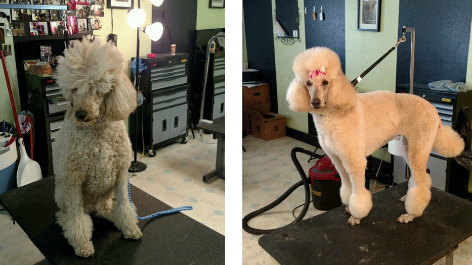 Gallery A Test Site for ACWD